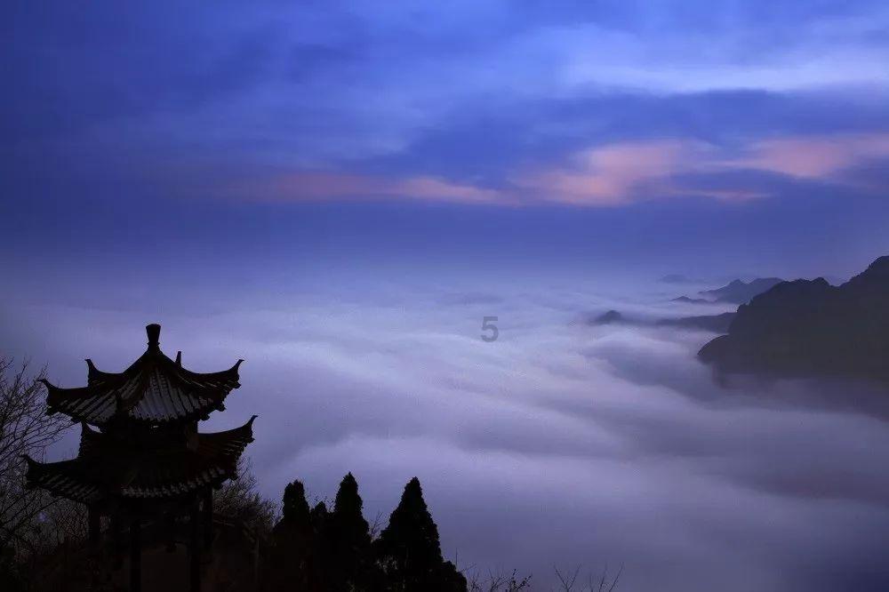 拯救小松鼠