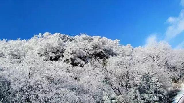 舒梅切尔谈与弗格森冲突:当时有些上头,事后我觉得这很尴尬
