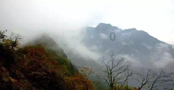 琴覆天下