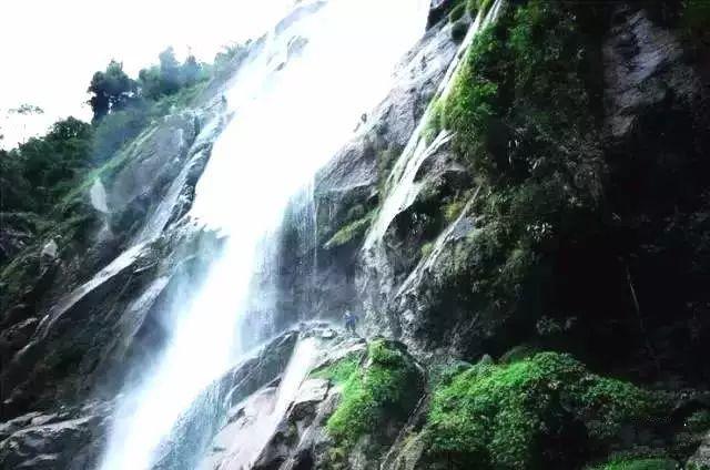 救援小巨鳄