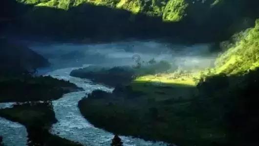 次元喵