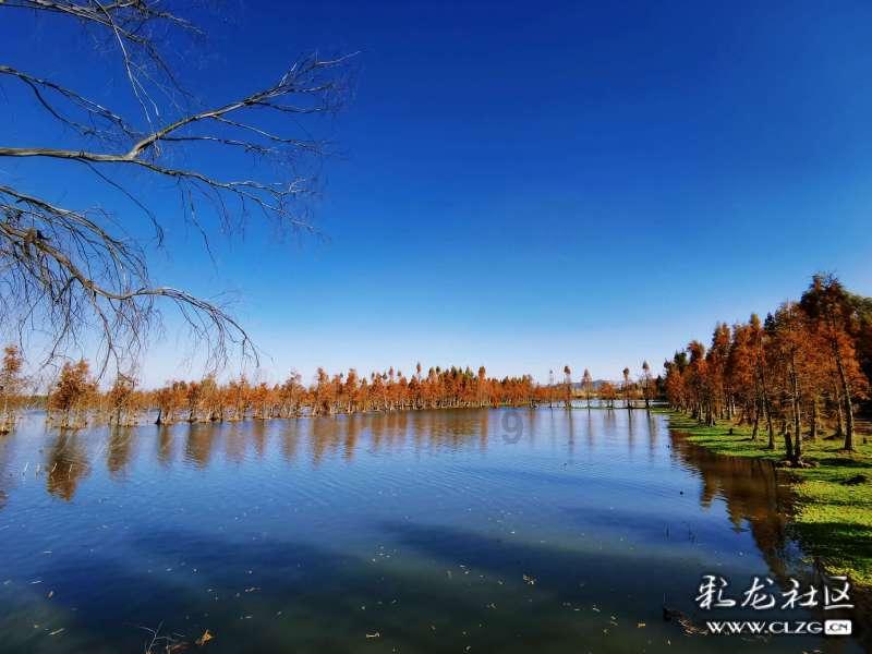 实拍:略阳白水江镇集市,有免费理发的,有送春联的,敲锣打鼓热闹了