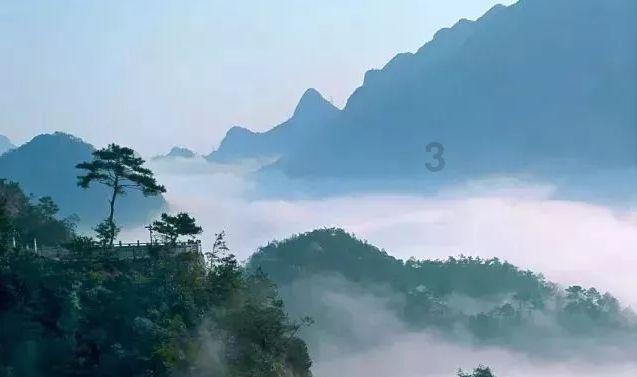 救援紫色生物