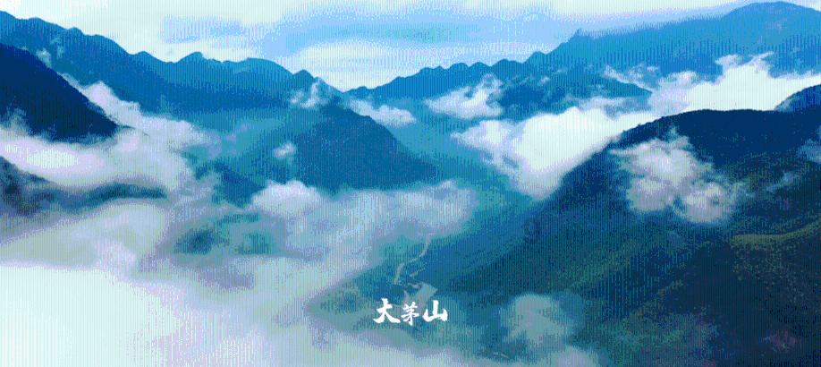 中国中医药50人峰会暨2024三亚中医药论坛为中医药产业高质量发展“把脉开方”