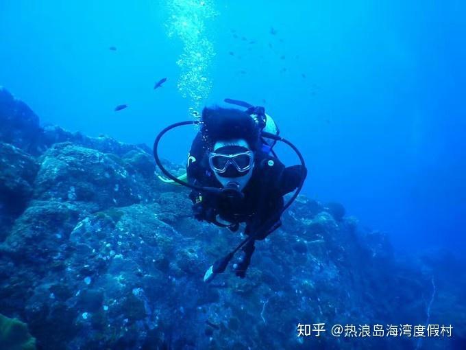 蓝狐视频