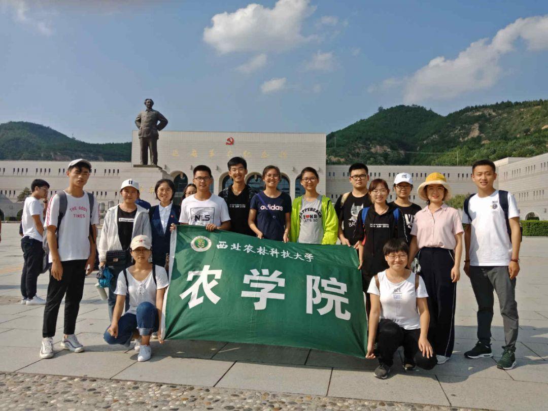 大家平时在淘宝买东西是用什么优惠券APP？游戏画面