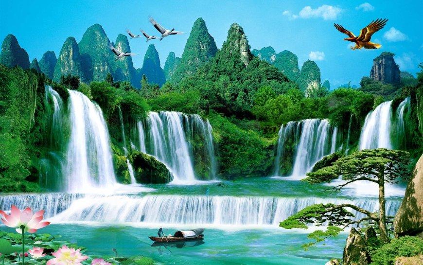 春雨直播app