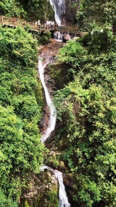 新黄金矿工