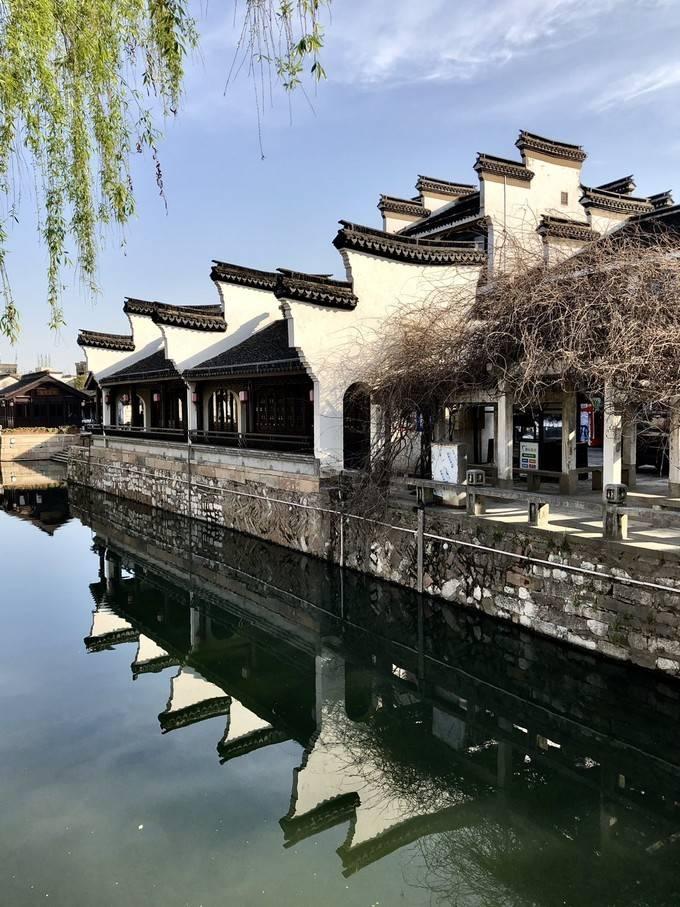 逃出小象森林