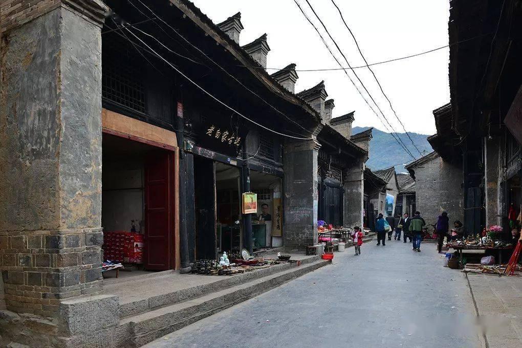 救援受困的老虎