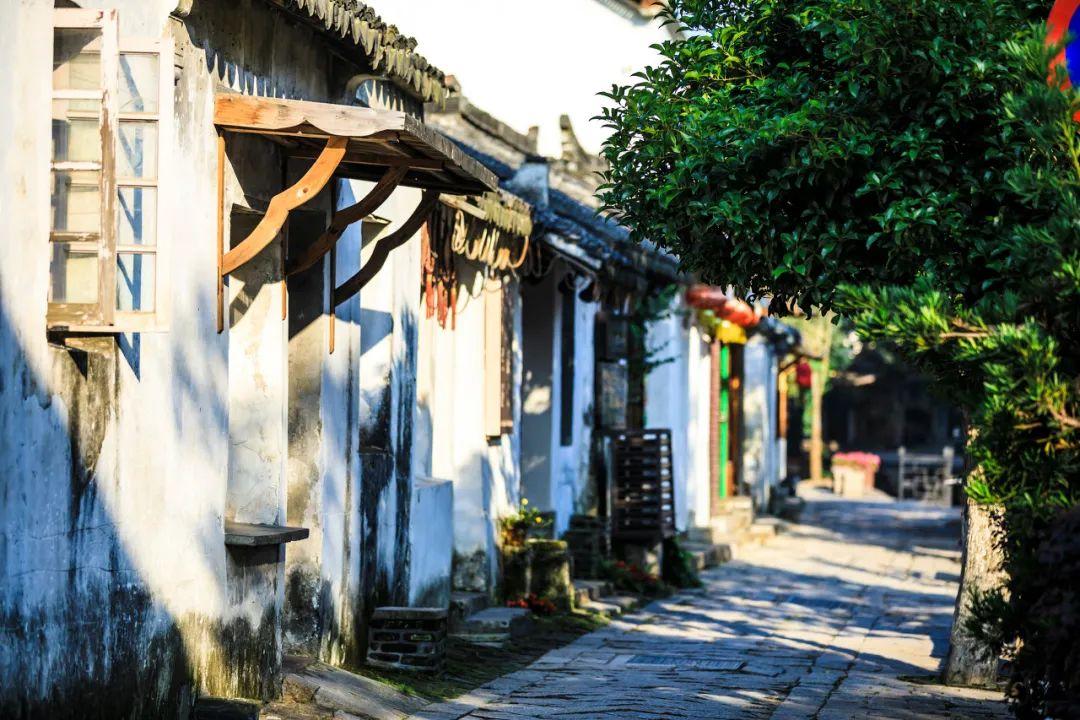 格斗战机