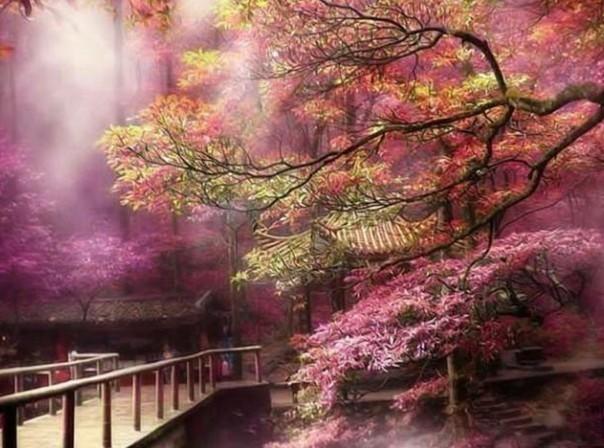 格斗战机